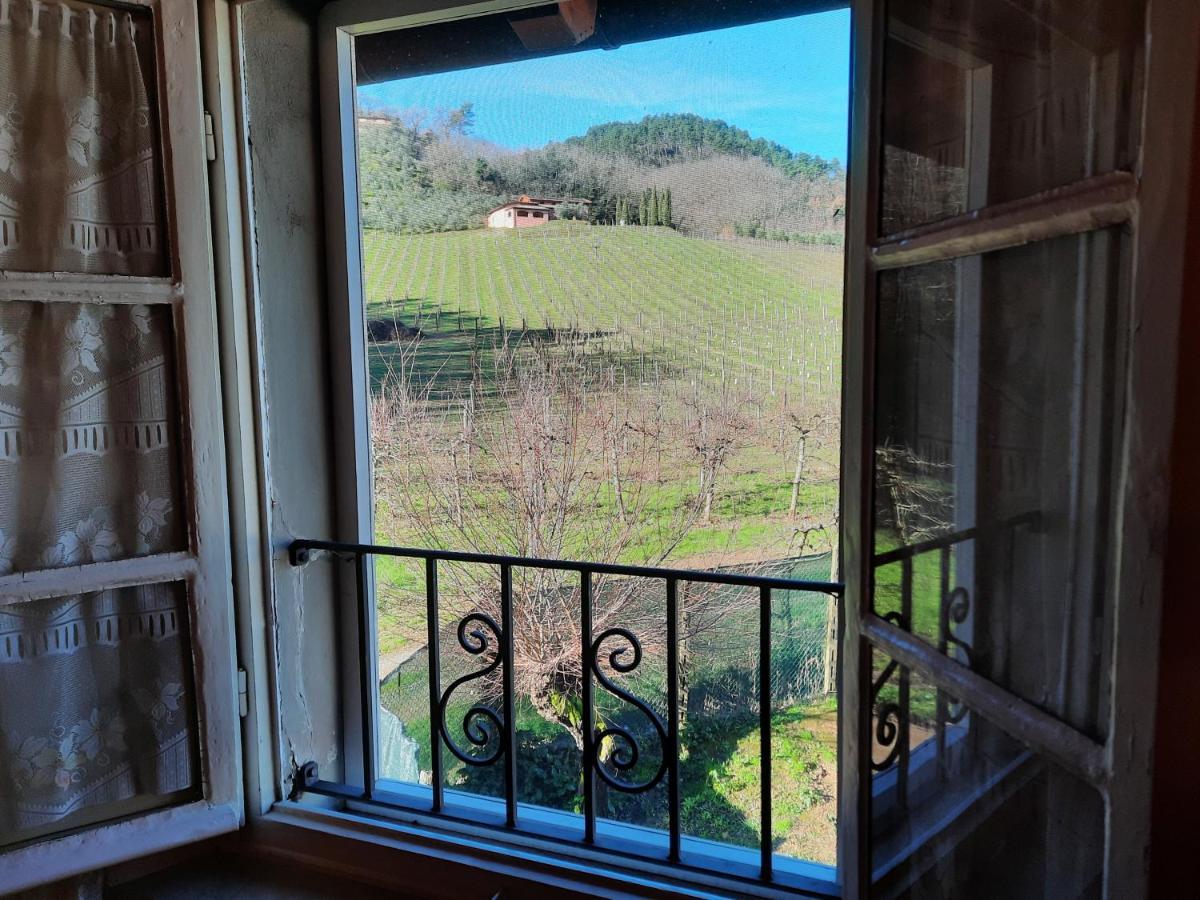 Agriturismo Tenuta Adamo Lucca Kültér fotó