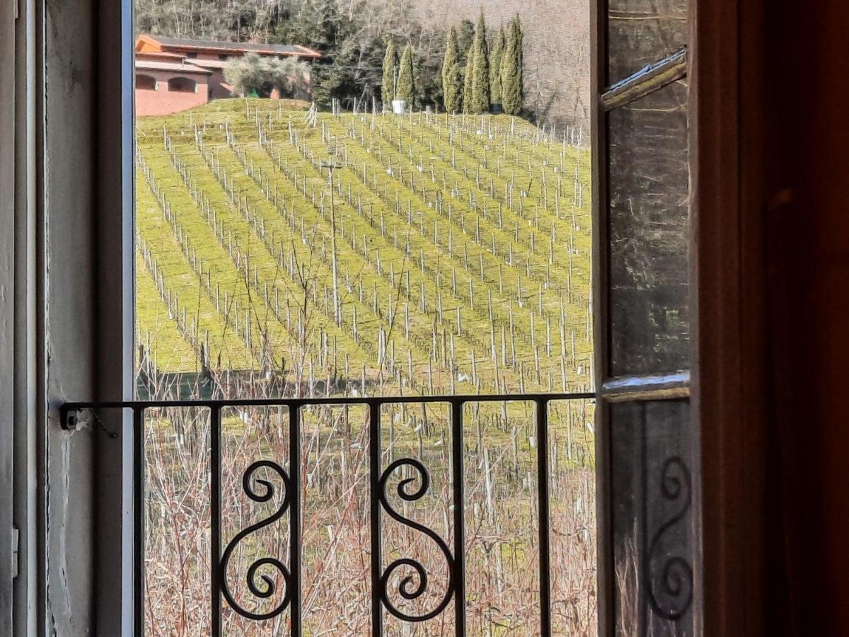 Agriturismo Tenuta Adamo Lucca Kültér fotó