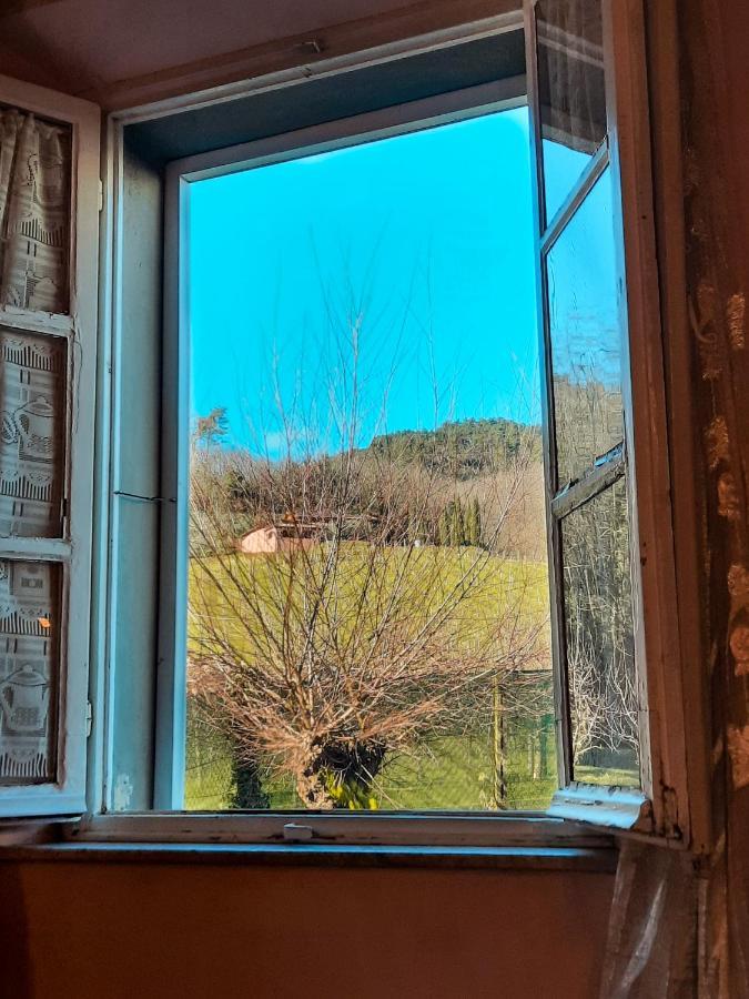 Agriturismo Tenuta Adamo Lucca Kültér fotó